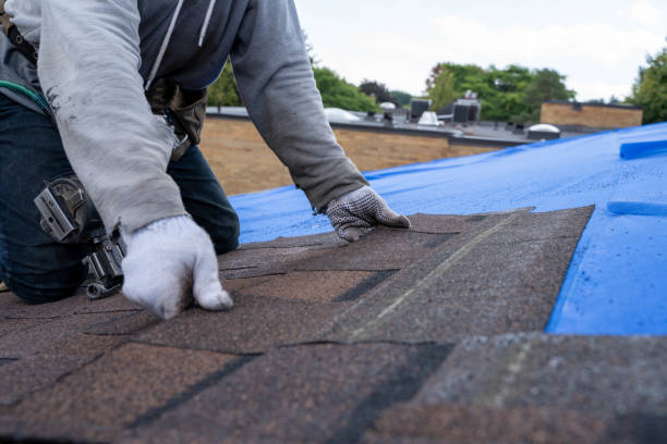 Best New Roof Installation  in Midway, GA
